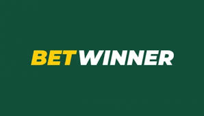 Explore Betwinner Your Ultimate Betting Experience