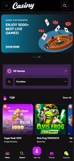 All You Need to Know About Casiny Casino All You Need to Know About Casiny Casino